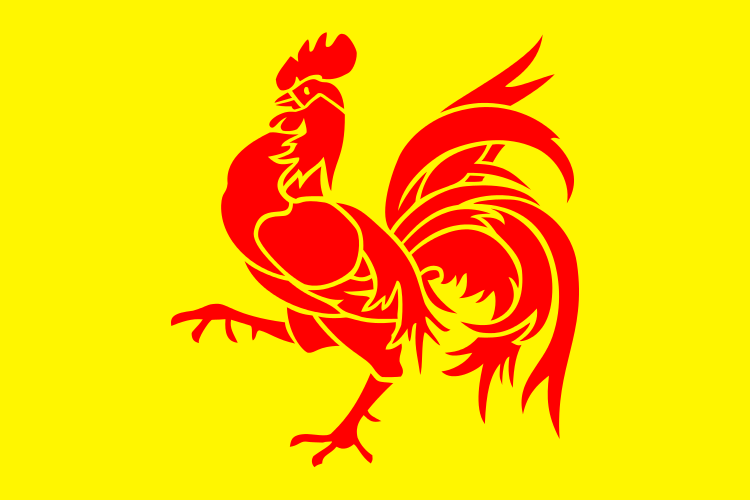 Plik:Flag of Wallonia svg.png