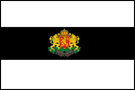 Plik:Flaga natanii.png