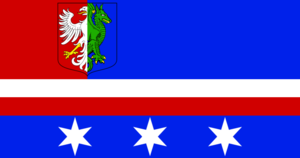 Flaga kzsl.png