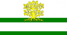 Flaga Miasta Gerwen