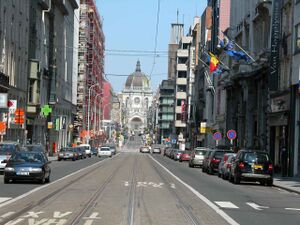 Bruselia.jpg